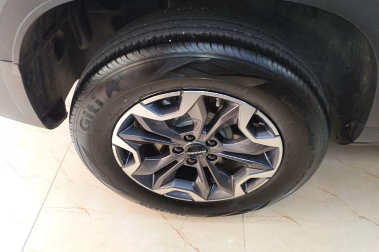 Used Haval DARGO 2024 2.0T DCT Chinese Rural Dog Edition
