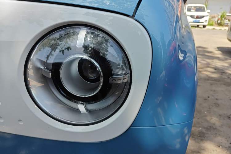 Used ORA Black Cat 2021 301 km Basic Version