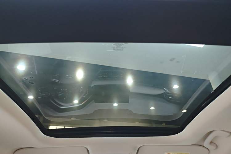 Used Ford Escape 2020 EcoBoost 245 Two-Wheel-Drive Titanium Edition Headliner