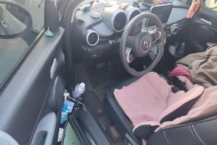 Used ORA Black Cat 2019 351 km Goddess Edition
