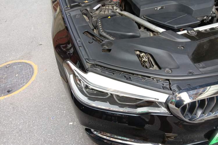 Used BMW 5 Series New Energy 2019 530Le Luxury Package
