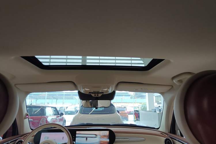 Used ORA Ballet Cat 2023 401 km Luxury Version
