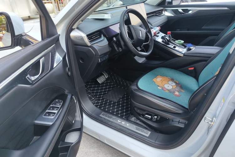 Used Wey Mocha 2021 2.0T Two-Wheel Drive Special Edition
