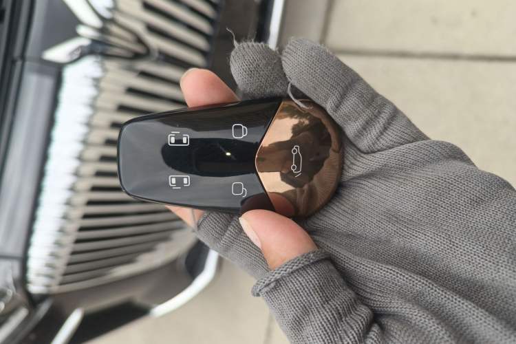 Used VOYAH Dream 2025 PHEV Four-Wheel Drive Excellence Kunpeng Edition
