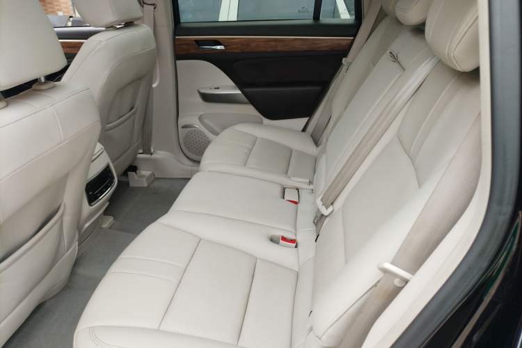 Used GAC Trumpchi GS8 2017 320T Two-Wheel Drive Luxury Smart Connectivity Version (7 Seats) Left Rear Seat