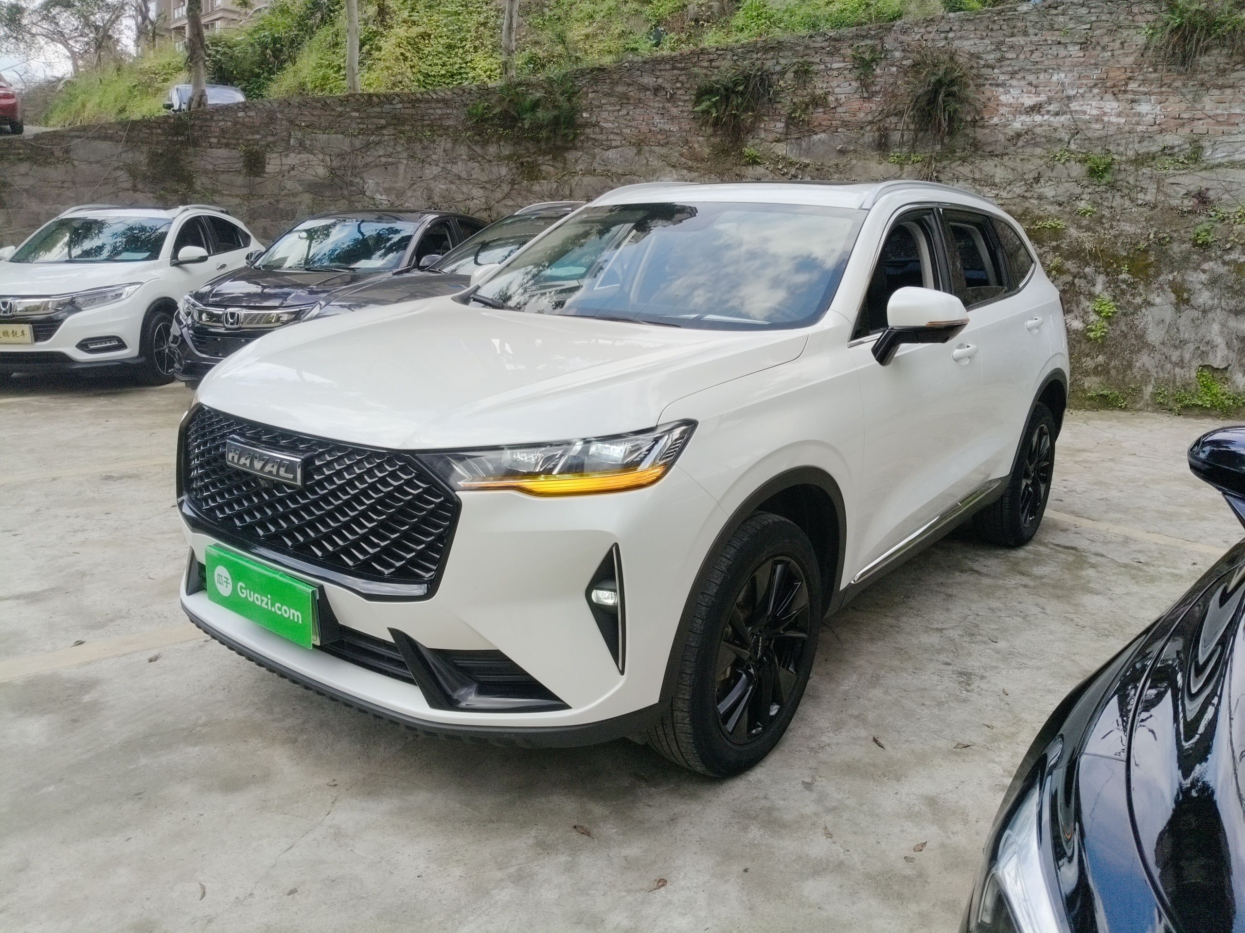 Parte inferior delantera