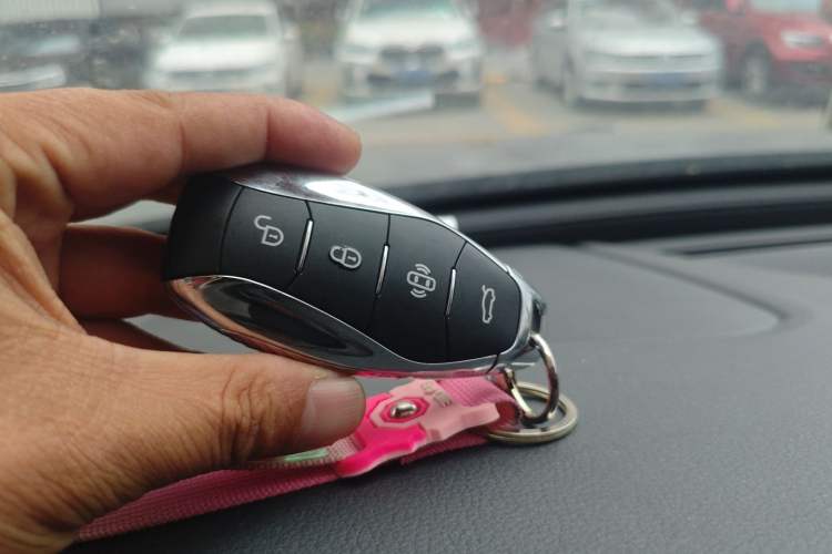 Used Hongqi H5 2023 2.0T Automatic Smart Connect Flagship Edition