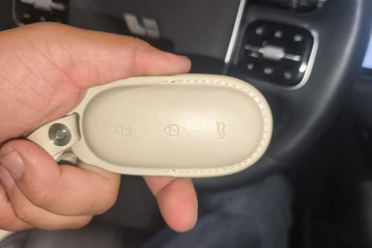 Used Li Auto L9 2024 Ultra Model
