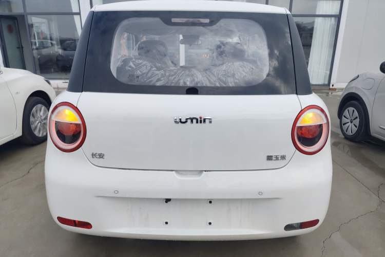Used Qiyuan Lumin 2024 130km Qingyue Version

