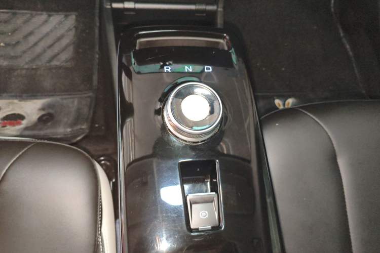 Used Geometry E Firefly 2022 401KM Lightning Tiger 5-Seater