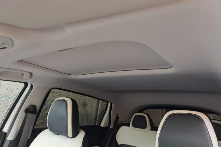 Used Geometry E Firefly 2024 301km Starlight Headliner