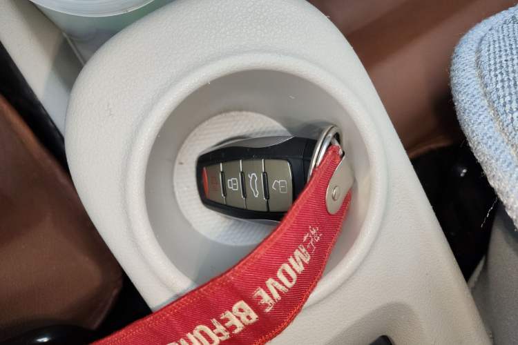 Used ORA White Cat 2020 360 km Luxury Version
