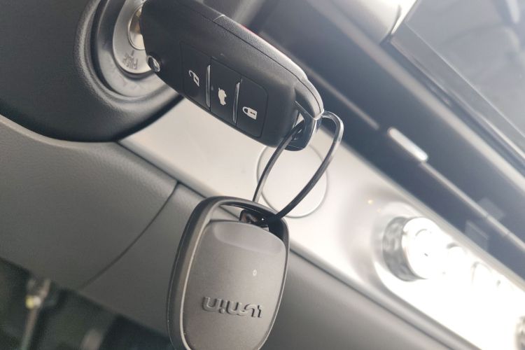 Used Qiyuan Lumin 2025 205 km Xiangqin Version
