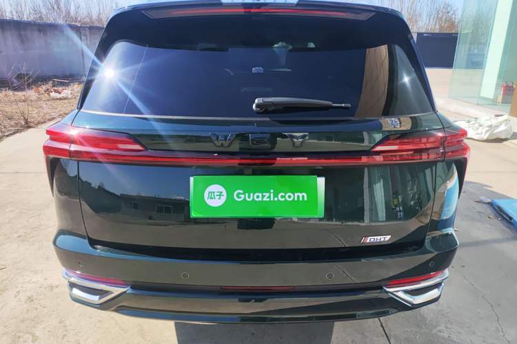 Used Wey Lanshan 2023 Four-Wheel Drive Ultra-Long Range Version
