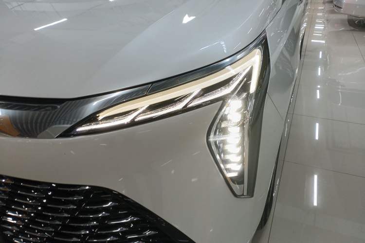 Used Buick Century 2023 2.0T Six-Seater Yinshi Edition
