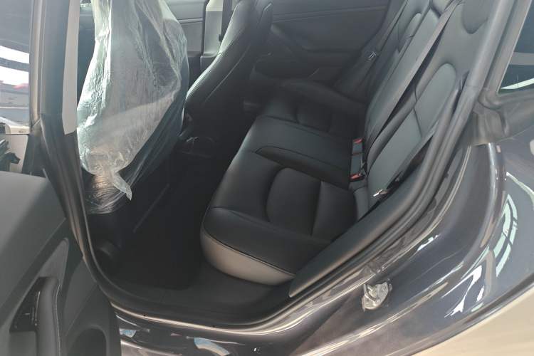 Used Tesla Model 3 2020 Standard Range Rear-Wheel Drive Upgraded Version