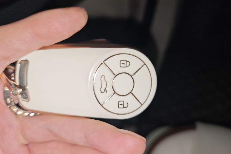 Used ORA Good Cat 2022 400km Standard Range Premium Version Lithium Iron Phosphate Vehicle Key