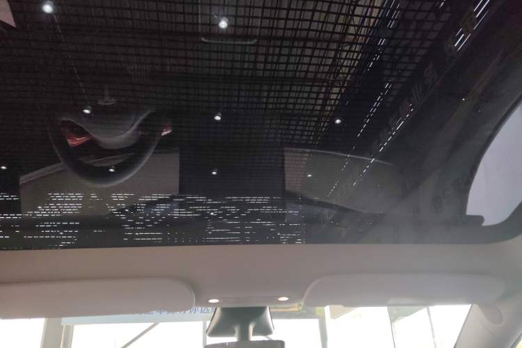 Used Tesla Model Y 2021 Standard Range Rear-Wheel Drive Version Headliner