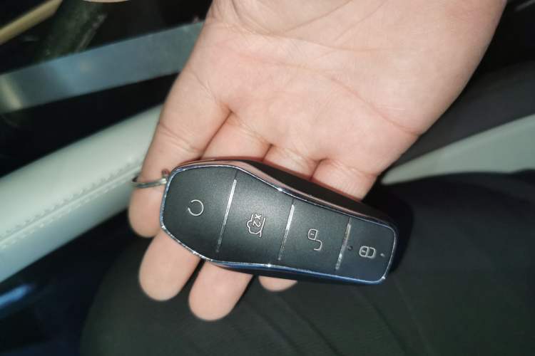 Used BYD Song PLUS New Energy 2025 DM-i 112KM Prestige Model