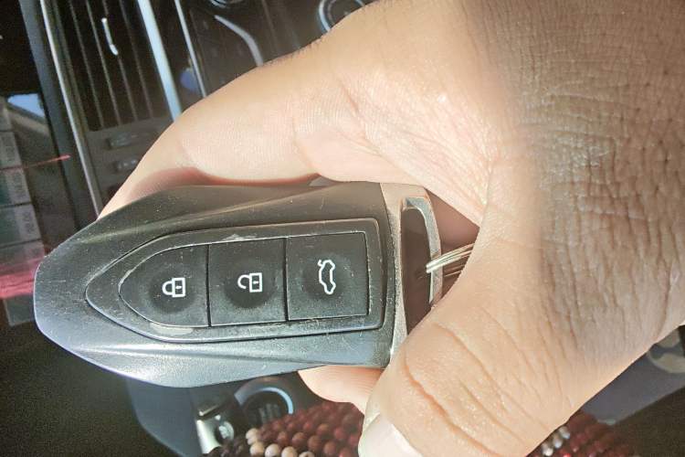 Used Leopaard CS10 2017 2.0T Manual Excellence Edition