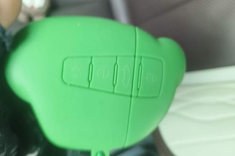 Used Geely Auto Monjaro L 2021 2.0TD DCT EVO Two-Wheel Drive Prestige Version