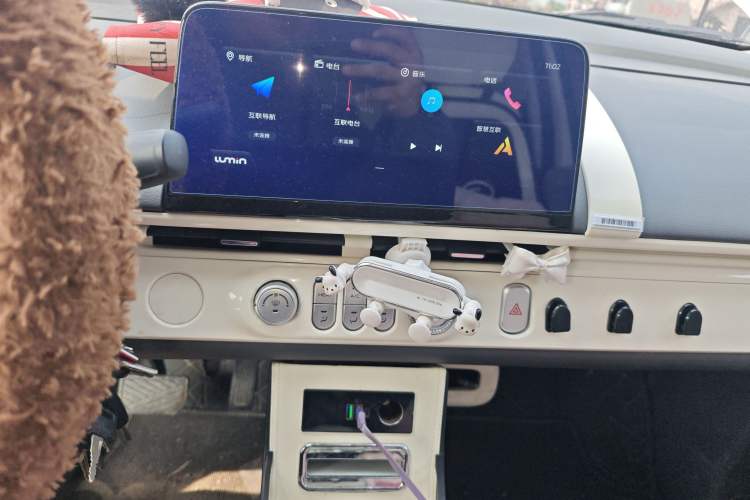 Used Qiyuan Lumin 2023 205km Xiangqin Version
