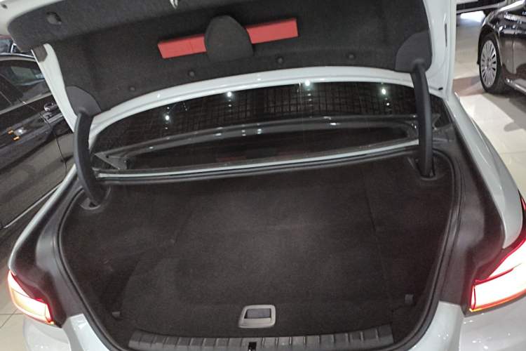 Used BMW 5 Series New Energy 2021 535Le Luxury Package