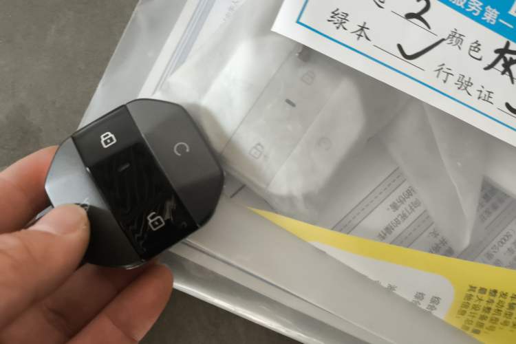 Used JETOUR Shanhai Shanhai T1 2025 Model 220km XWD Conquest