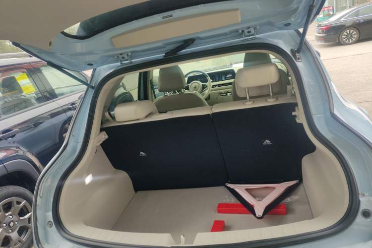 Used ORA Good Cat 2023 401 km Standard Range Luxury Version Lithium Iron Phosphate
