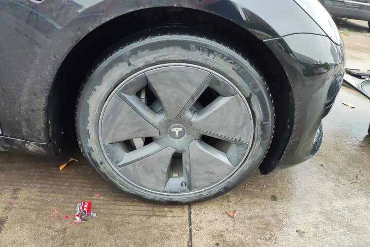Used Tesla Model 3 2022 Rear-Wheel-Drive Version