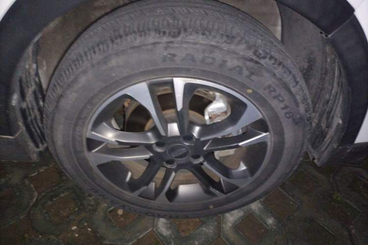 Used Geometry EX3 Kung Fu Cow 2021 Tough Bull Cow