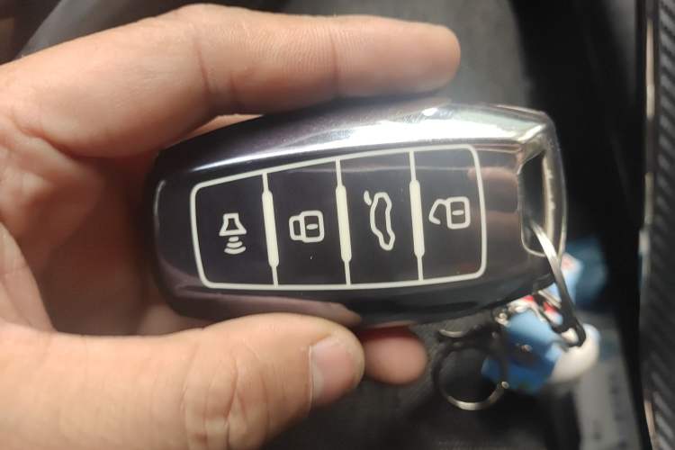 Used Haval H6S 2022 2.0T Two-Wheel Drive ZhiRun Version