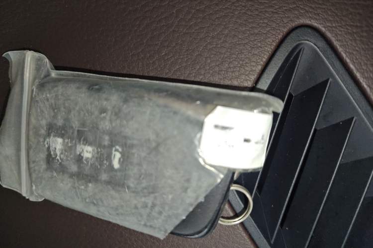 Used Lexus RX 2021 300 Four-Wheel Drive Special Edition Vehicle Key