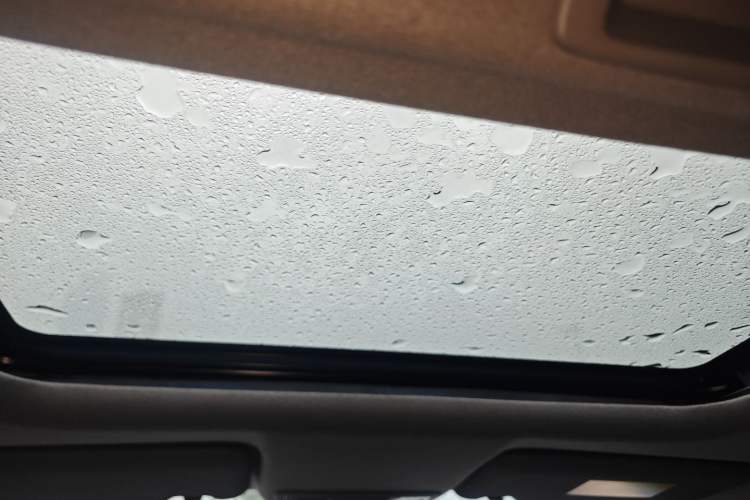 Used Honda Fit 2021 1.5L CVT Trendy Sports Edition Headliner