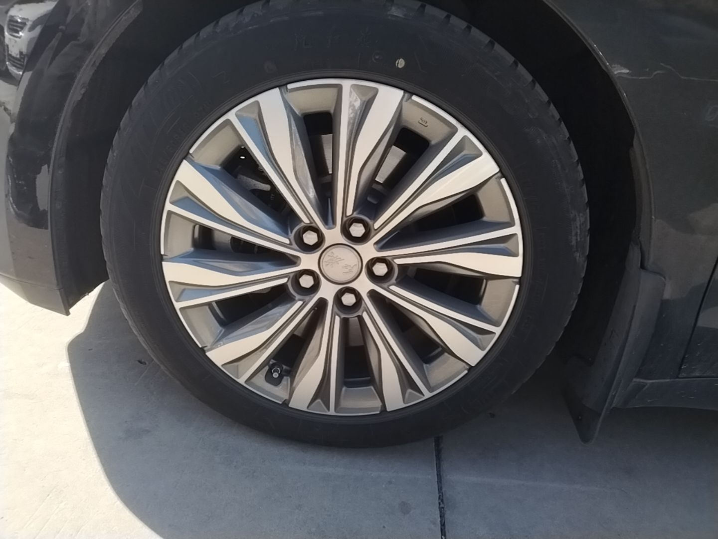 Hongqi E-QM5 2023 620km PLUS — снимка 10