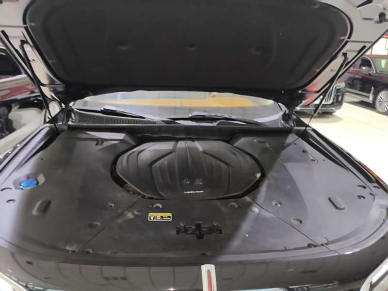 Used Hongqi H9 2020 2.0T Smart Connect Flagship Edition – Chinese Trim Xiang — 19