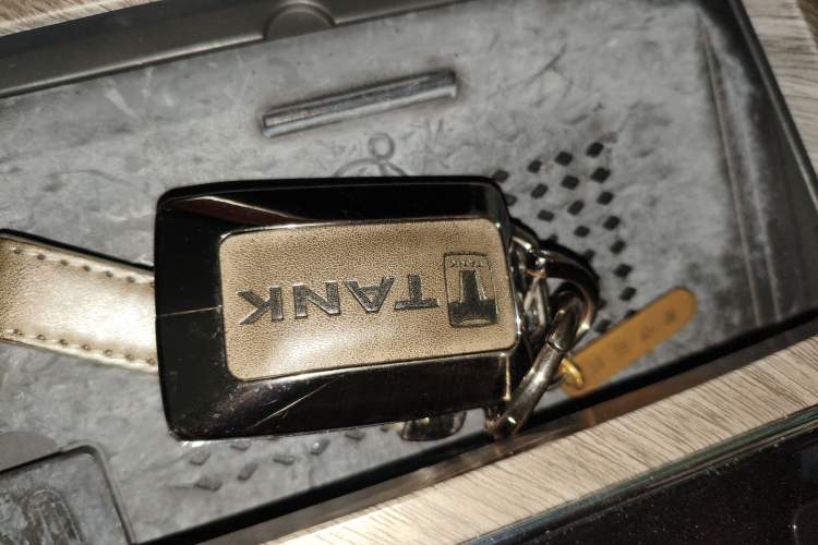 Used Tank 500 2022 3.0T Business Edition "Creation Realm" Design 5-Seater