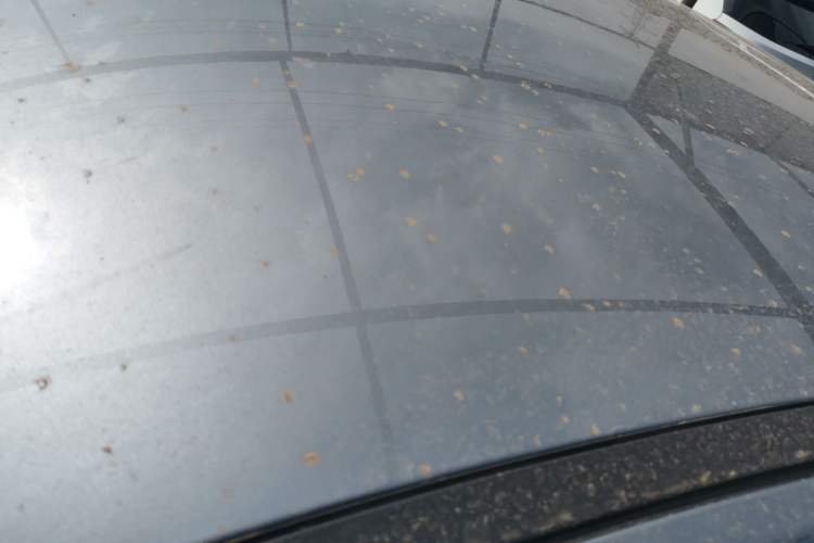 Used BYD Seal 05 DM-i 2025 DM-i Smart Drive 55KM Luxury Model
