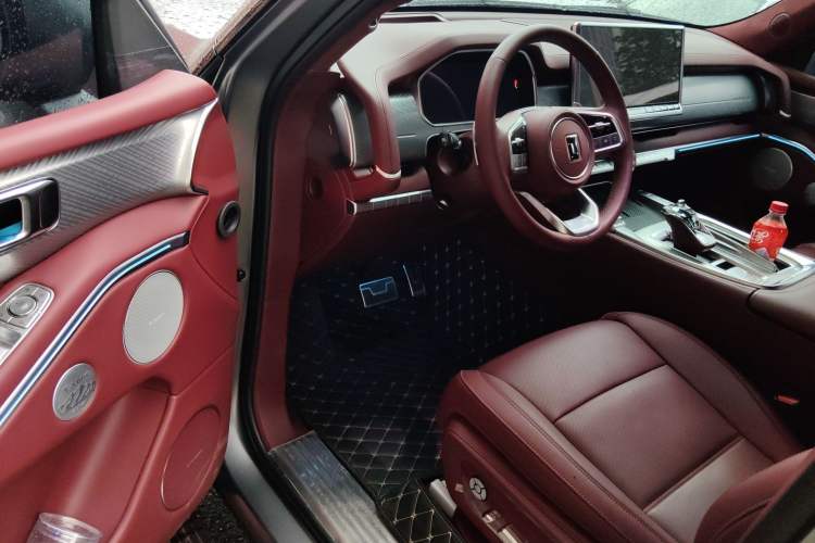 Used Tank 700 New Energy 2024 Hi4-T Extreme Edition Driver Seat