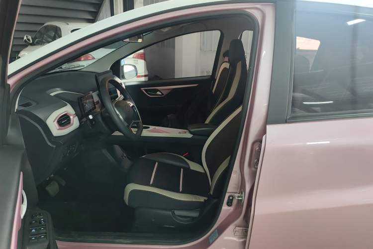 Used SOL E10X 2022 Flower Fairy Design Four-Leaf Clover Left Front Seat