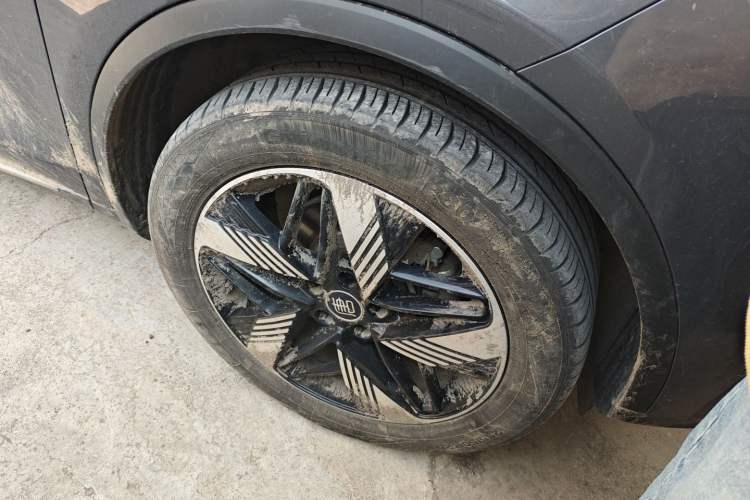 Used BYD Tang New Energy 2023 DM-i Champion Edition 112KM Prestige Model