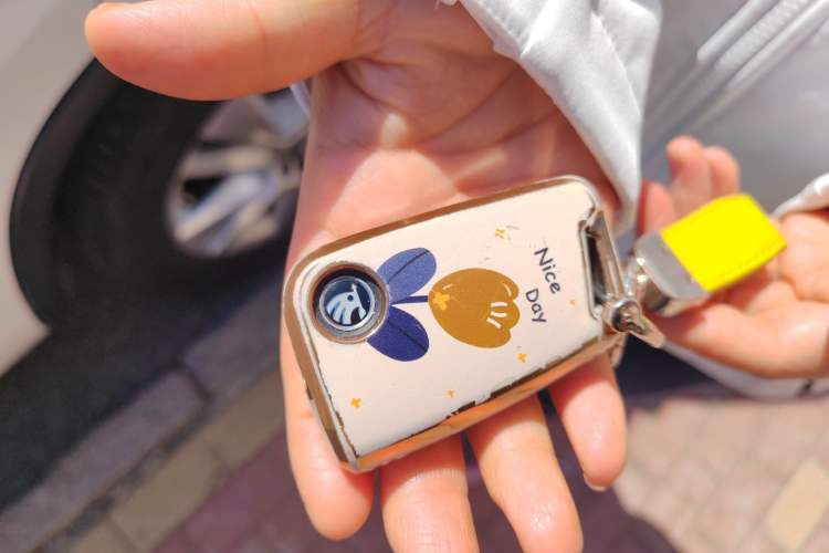 Used Skoda Kodiaq 2024 TSI330 5-Seat Two-Wheel Drive Elite Version Vehicle Key