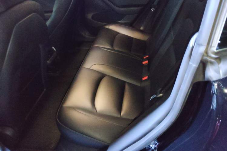 Used Tesla Model 3 2022 Rear-Wheel-Drive Version Left Rear Seat