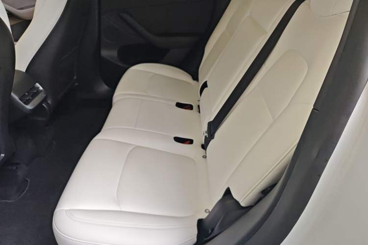 Used Tesla Model Y 2022 Revised Version Long-Range All-Wheel Drive
