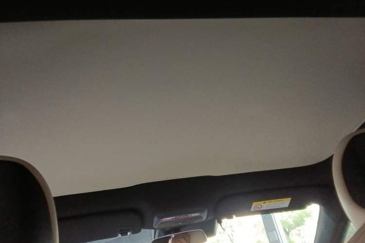 Used XPeng P7 2020 670N Headliner