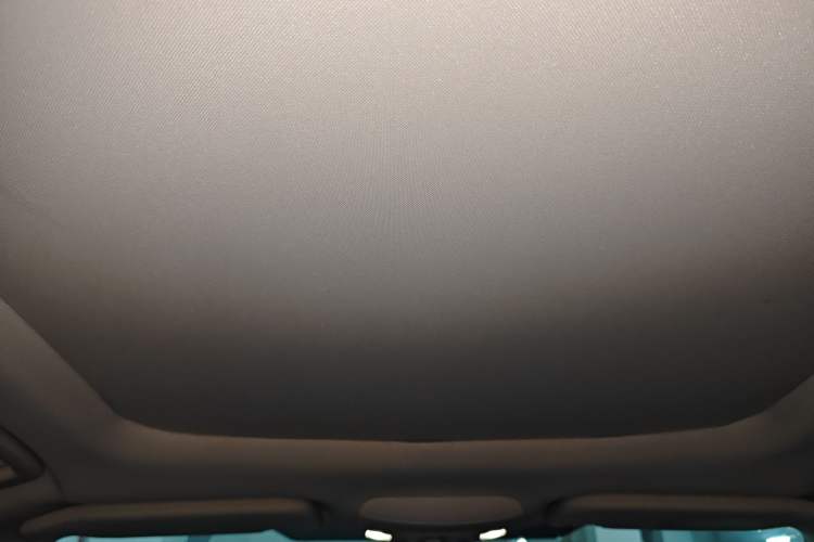 Used Ford Edge 2022 PLUS EcoBoost 245 Four-Wheel Drive Platinum Edition 7-Seater Headliner