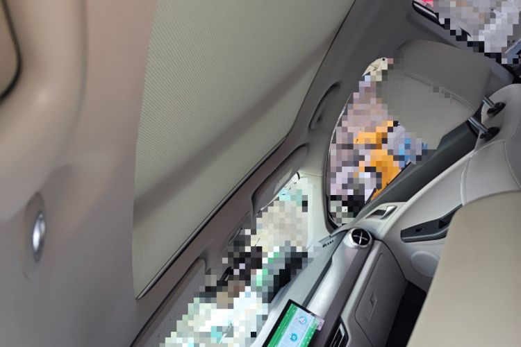 Used BYD Yuan Pro 2021 401 km Deluxe Version Headliner