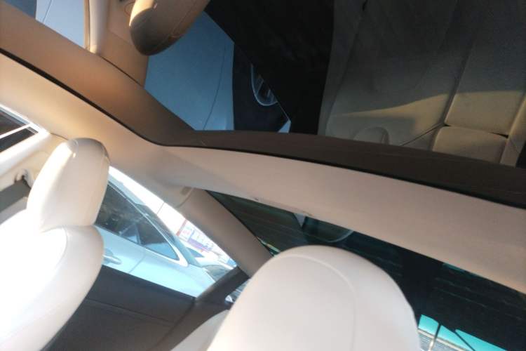 Used Tesla Model 3 2022 Rear-Wheel-Drive Version