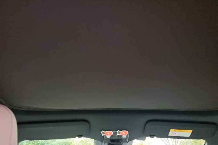 Used ONVO L60 2024 60 kWh Rear-Drive Version Headliner