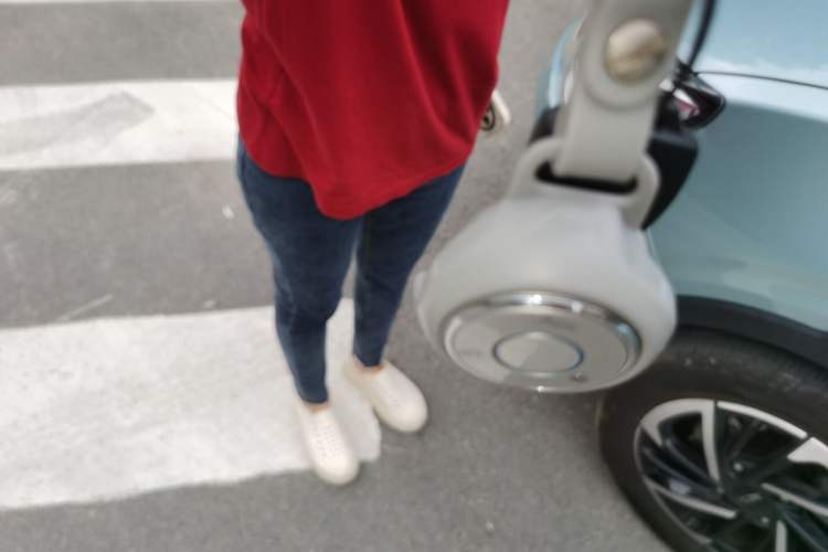 Used NETA V 2021 Long-Range Entertainment Edition Upgrade Model
